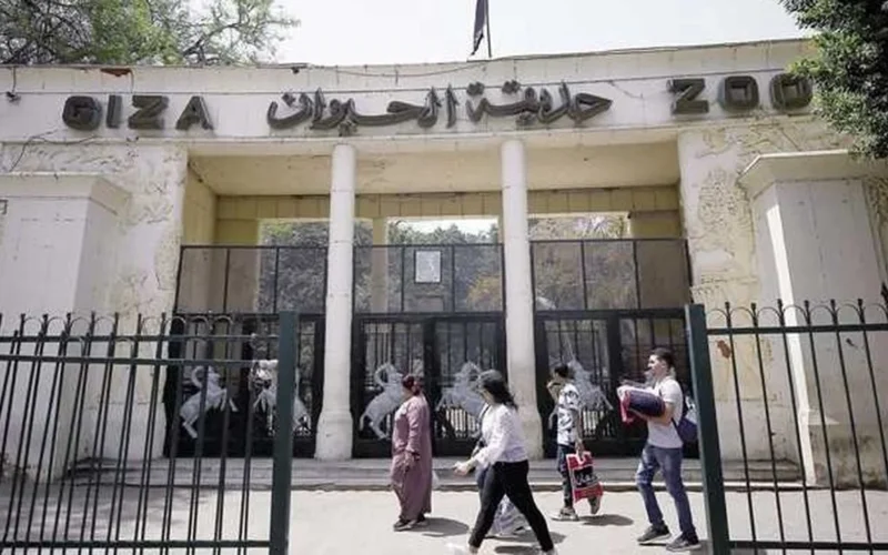 موعد افتتاح حديقة الحيوان يحدد استقبال الزوار مع طرح أنواع جديدة من الحيوانات النادرة